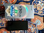 Vivo V30 Lite Box, chager (Used)