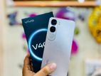 Vivo V40 lite 8GB 256GB (Used)