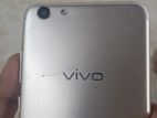 Vivo V5 (Used)