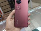 Vivo V50 5g 8/256 (Used)