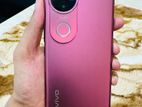 Vivo V50 5G 8+256 (Used)