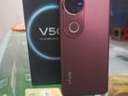 Vivo V50 (Used)