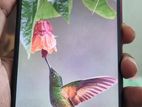 Vivo Y11 (Used)