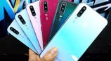 Vivo Y17 8/256 পাইকারি দাম (New)
