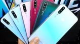 Vivo Y17 8/256 পাইকারি দাম (New)