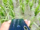 Vivo Y17 3+64 (Used)
