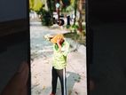 Vivo Y17s full fresh (Used)