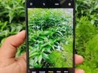 Vivo Y17s Ram6+6GB (Used)