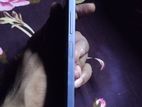Vivo Y17s . (Used)