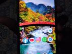 Vivo Y19 (Used)