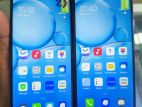 Vivo Y50 ` (New)