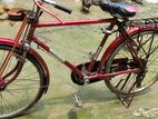Bicycle for sell