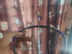 Vs titan 8 badminton racket