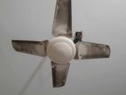 Fan for sell