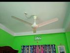 Wall Fan