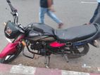 Walton Bike 2013