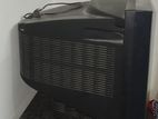 Walton 21" Color Television