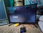 Walton 32"