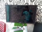 Walton 32" Led Tv