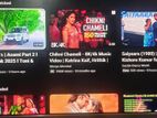 walton 32" smart tv কোন পোকার সমস্যা নেই