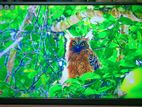 WALTON 40 INCHI SMART ANDROID 4K TV FOR SELL