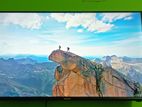 Walton 4K 43 inch TV