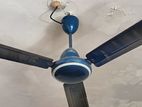 Walton 56" Navy Blue Fan