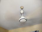 Walton Celing Fan 56"