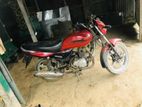 Walton Cruize 100 2014