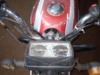 Walton Cruize 100 2025