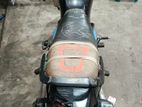 Walton Cruize 100 . 2025