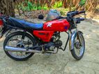Walton Cruize 2000