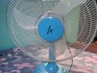 Walton Fan