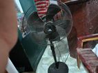 Walton Fan