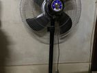 Walton Fan Pks