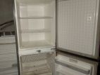 Walton Fridge