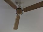 Walton Fresh Ceiling Fan