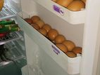 Walton Fridge