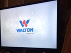 Walton intect TV