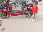 Walton Leo 2024