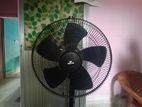 Walton Pedestal Fan 24