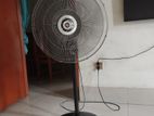 Walton Pedestal Fan 600 mm