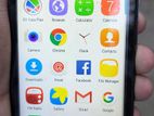 Walton Primo g 7+ (Used)