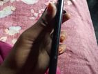 Walton Primo N . (Used)