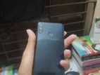 Walton Primo R6 (Used)