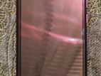 Walton Primo (Used)