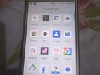 Walton Primo GF 7 (Used)