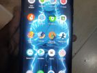 Walton Primo (Used)
