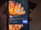 Walton Primo (Used)