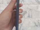 Walton Primo (Used)